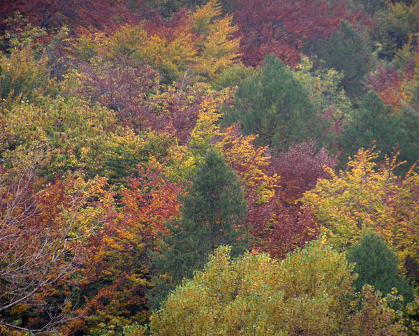 autunno in val di susa